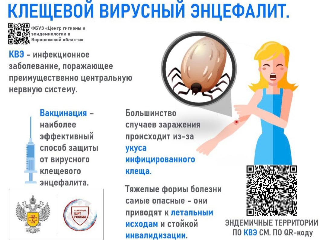 Памятка КВЭ.