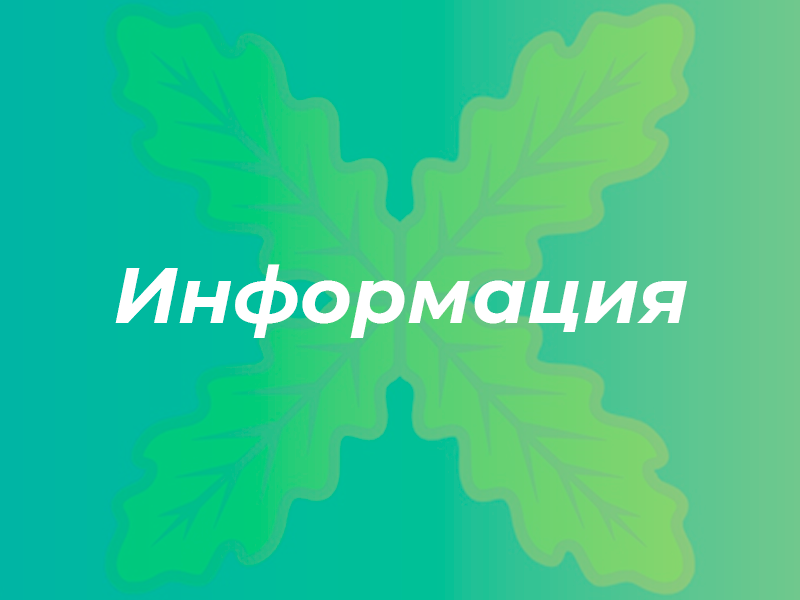 «Звонок с удостоверением» и другие ловушки: как не потерять деньги, квартиру и зарплату.